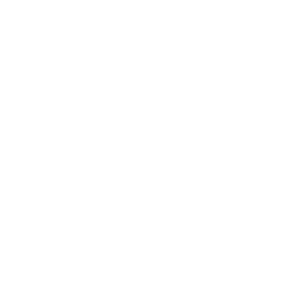 Python logo