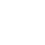 API logo